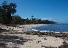 IMG 0331