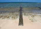 IMG 0340