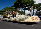 IMG 6235