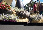 IMG 6240