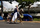 IMG 6294