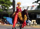 IMG 6313