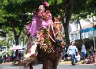 IMG 6431