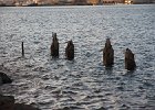 IMG 9528