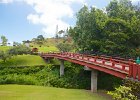 IMG 0338