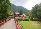 IMG 0347