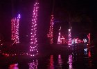 IMG 4968