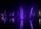 IMG 5005