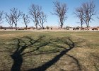 IMG 7936