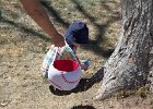 IMG 7951
