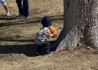 IMG 7969
