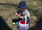IMG 7982