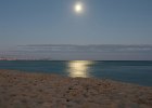 IMG 0367