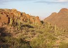 IMG 7779