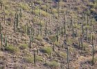 IMG 7789