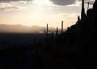 IMG 7815