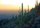 IMG 7826