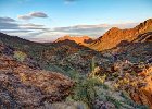 IMG 7841