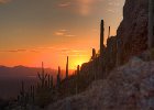 IMG 7886