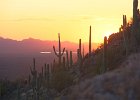 IMG 7889