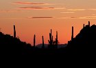 IMG 7905