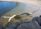 IMG 9162