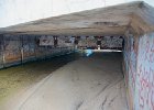 IMG 9169