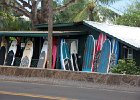 IMG 9176