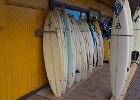IMG 9258