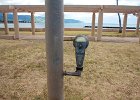 IMG 9287