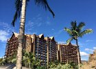 IMG 4467