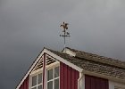 IMG 8818