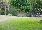 IMG 8877