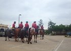 IMG 1794