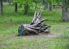 IMG 8464