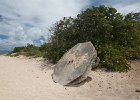 IMG 5778
