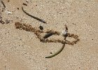 IMG 5795