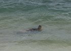 IMG 5835