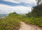 IMG 5853