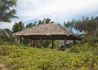 IMG 5857
