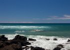 IMG 5629