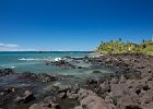 IMG 5631