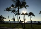 IMG 4051
