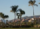 IMG 6490