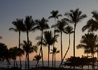 IMG 6554