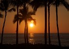 IMG 6585