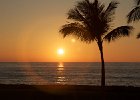 IMG 6595