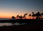 IMG 6716