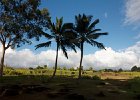 IMG 0918