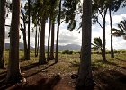 IMG 0931